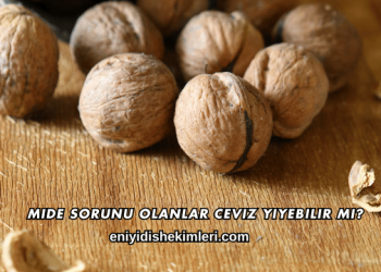 Mide Sorunu Olanlar Ceviz Yiyebilir mi?