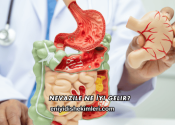 Nevazile Ne İyi Gelir?
