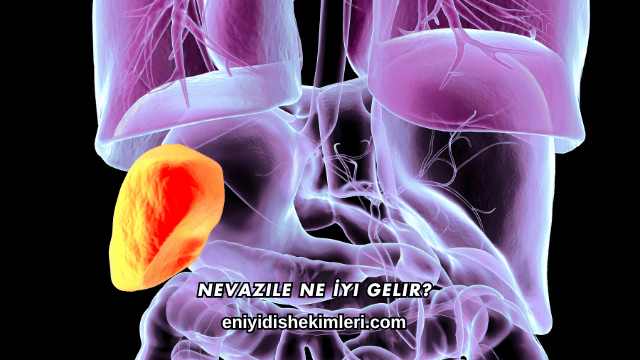 Nevazile Ne İyi Gelir?