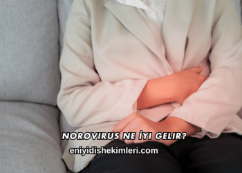 Norovirus Ne İyi Gelir?