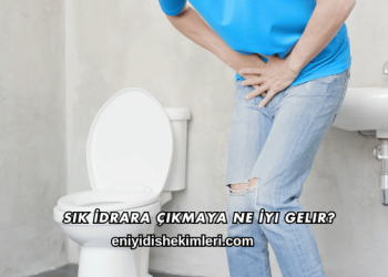 Sık İdrara Çıkmaya Ne İyi Gelir?