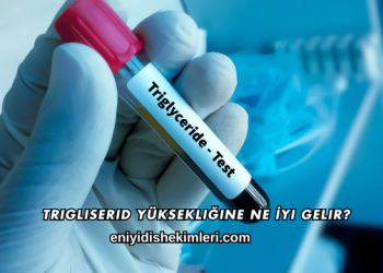 Trigliserid Yüksekliğine Ne İyi Gelir?