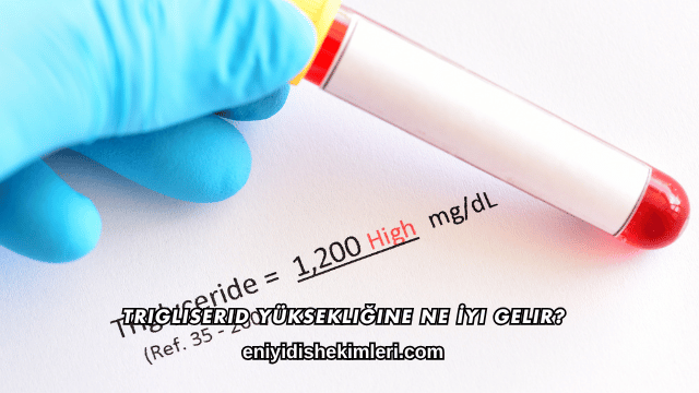 Trigliserid Yüksekliğine Ne İyi Gelir?