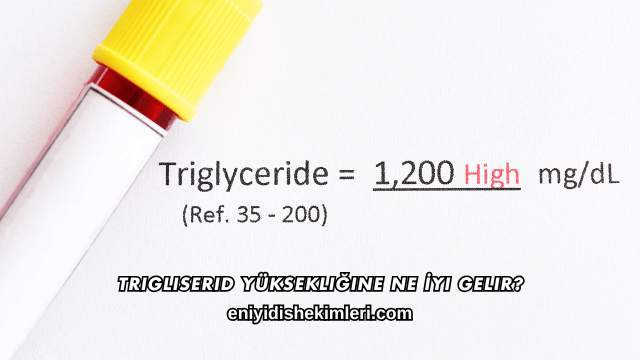 Trigliserid Yüksekliğine Ne İyi Gelir?