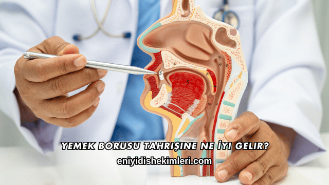 Yemek Borusu Tahrişine Ne İyi Gelir