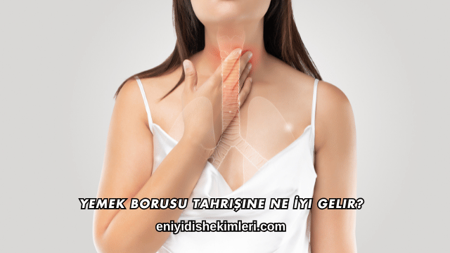 Yemek Borusu Tahrişine Ne İyi Gelir