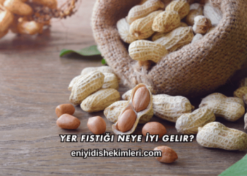 Yer Fıstığı Neye İyi Gelir?