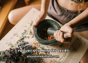 Yoğurt Otu Neye İyi Gelir?