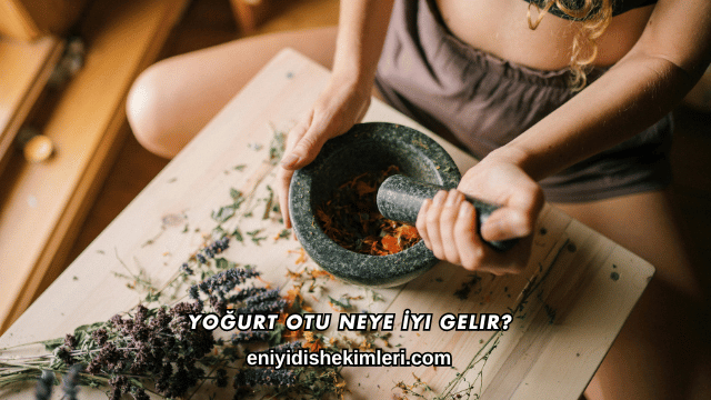 Yoğurt Otu Neye İyi Gelir?